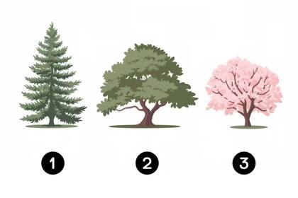 Este test permite conocer el origen de las inseguridades (imagen ilustrativa)