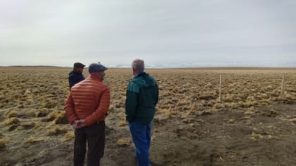 Este tipo de créditos de carbono opera en el mercado voluntario que no está regulado donde se realizan transacciones entre las empresas que necesitan comprar créditos de carbono y productores o proyectos que cuentan con una metodología para secuestrar carbono, medirlo y certificarlo