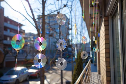 Este truco no daña a las aves y las mantiene alejadas del balcón, terrazas o ventanas