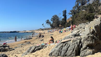 Este verano tuvieron una ocupación del 70%