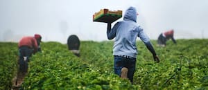 Cuándo se cobra el programa Volver al Trabajo en diciembre de 2025