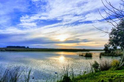 Este viernes hay un asueto local en General Guido