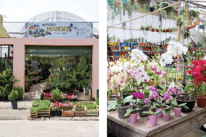Este vivero data de 1999, y cuenta con un terreno de producción en Escobar.