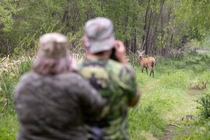 Esteban Argerich organiza workshops de fotografía en la forestación para avistaje del ciervo de los pantanos