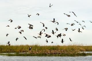Organizá tu viaje a los Esteros