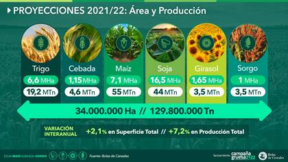 Estimaciones para soja, maíz, girasol, trigo, cebada y sorgo