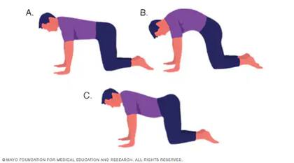 Estiramiento del gato