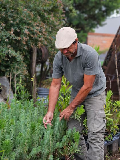 “Esto lleva tiempo y tal vez no llegue a verlo en su máxima expresión. Pero que la producción evolucione y que se siga plantando, aunque sea sin mí, sería un sueño”