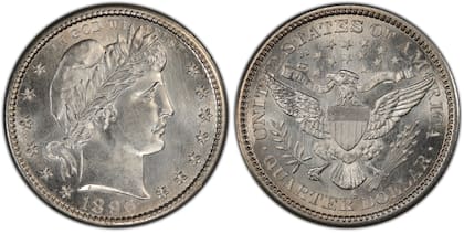 Estos ejemplares pueden alcanzar precios por hasta US$145 mil