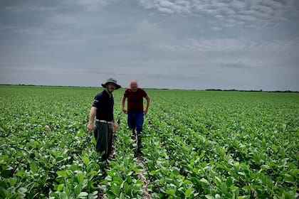 Estos inconvenientes se repiten en muchos campos de distintas zonas del país y no son exclusivos de los que tienen muchos estamentos de personal