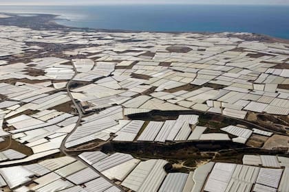 Estos invernaderos producen entre 2,5 y 3,5 millones de toneladas de frutas y verduras al año, abasteciendo a gran parte de Europa