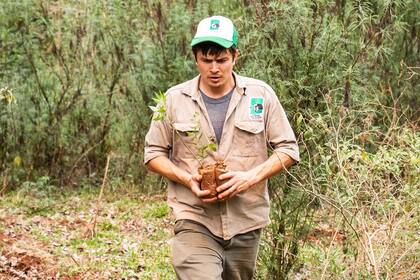 Estos nuevos ejemplares se suman a los más de 120.000 plantines que Fundación Vida Silvestre Argentina ha plantado en los últimos 10 años