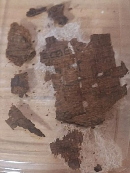 Estos nuevos paquetes contenían una sorprendente mezcla de textos, entre ellos magia greco-egipcia, registros documentales e incluso obras literarias como la "Ilíada", lo que indica una práctica funeraria alternativa y personalizada.