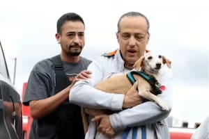 Estos perros no son simplemente mascotas, cumplen funciones vitales para las personas; el caso de Bam Bam (Foto: Redes sociales)