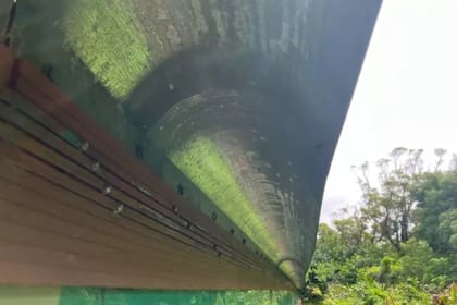 Estos recintos de exclusión tienen como función principal impedir el acceso de depredadores introducidos