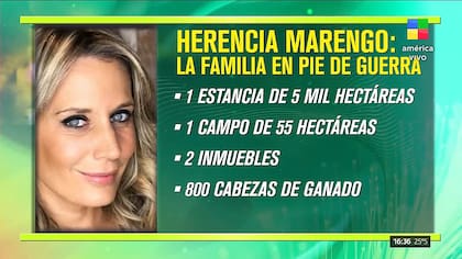 Estos serían los bienes en discusión de la familia Marengo