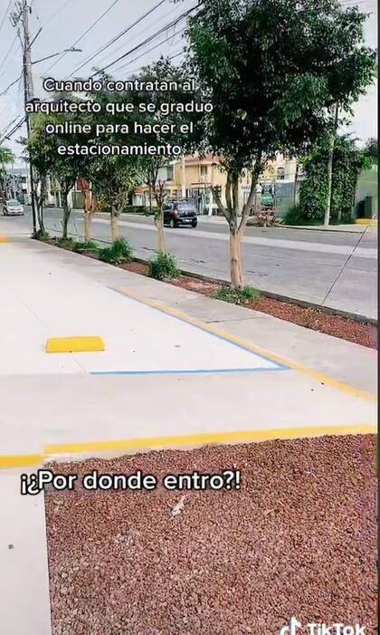 Estos son los árboles que obstruyen el estacionamiento del 7 Eleven