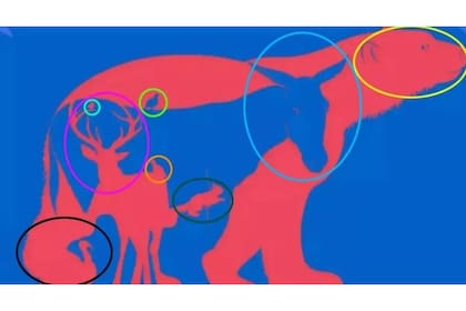 Estos son todos los animales escondidos en la imagen