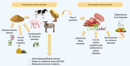 Estrategias a seguir en la elaboración de productos cárnicos Clean label, más saludables