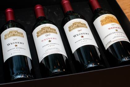 Estrella 77 (segundo desde la izquierda), junto a otras ediciones especiales de la bodega