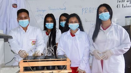 Estudiantes con una prueba experimental de una batería eléctrica a base de cáscara y mucílago del fruto de café
