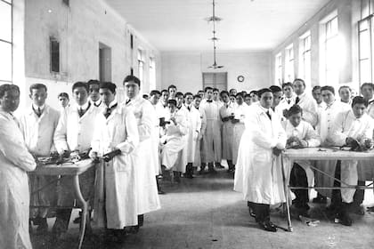 Estudiantes de la facultad de Medicina