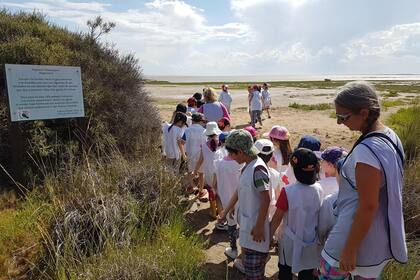 Estudiantes de todos las edades participan continuamente del paseo educativo que los lleva a los humedales