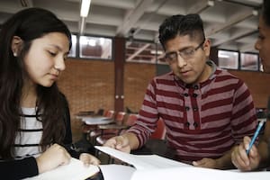 Cuántos estudiantes de otro país cursan en universidades argentinas y por qué puede ser inviable