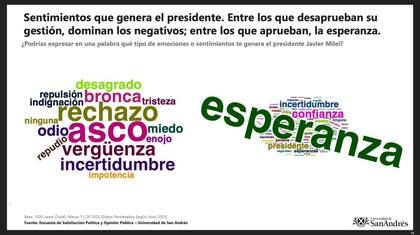 Estudio de la universidad de San Andrés sobre los sentimientos que genera el Presidente