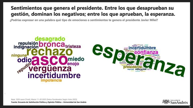 Estudio de la universidad de San Andrés sobre los sentimientos que genera el Presidente