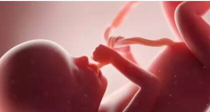 Estudios anteriores han demostrado que las preferencias alimentarias pueden comenzar antes del nacimiento, cuando el feto prueba los sabores que están en el líquido amniótico que lo rodea