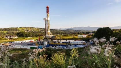 Estudios recientes han revelado que las profundidades de la Tierra son aptas para la vida de algunos organismos