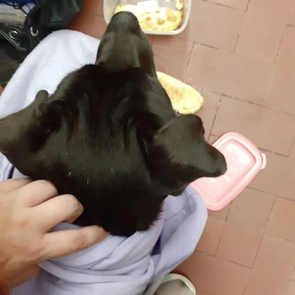 "Estuve horas en el subte tratando de retenerlo"