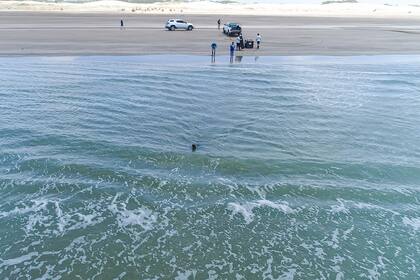 Estuvo dos meses y medio en rehabilitación antes de su liberación