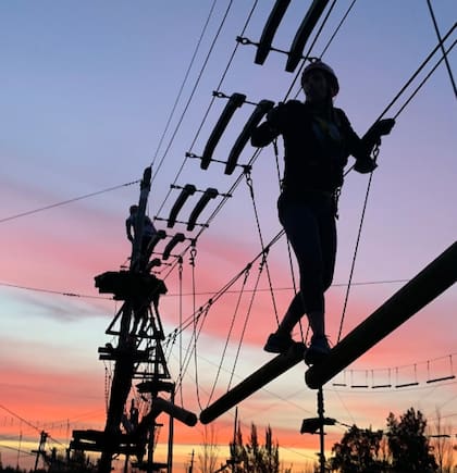 Euca Tigre distribuye sus juegos en nueve niveles de dificultad, para entretener a todas las edades