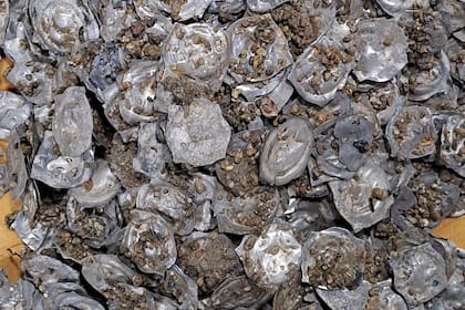 Europa conserva gran cantidad de tesoros que datan de la época medieval
