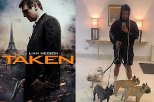 Es del Bronx y recuperó sus cuatro bulldogs robados tras ocho horas en Yonkers