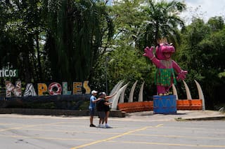 Eutanasia a descendientes de hipopótamos de Pablo Escobar divide a Colombia: ¿control o crueldad?