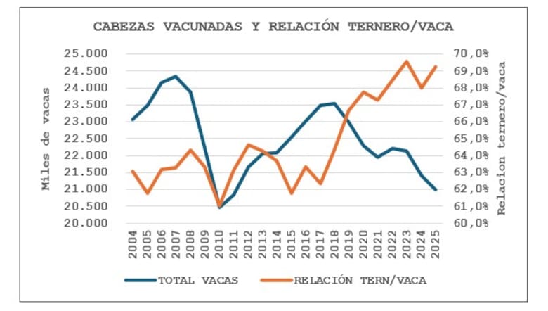 Ganadería en alerta: se perdieron 3,4 millones de cabezas bovinas en solo dos años