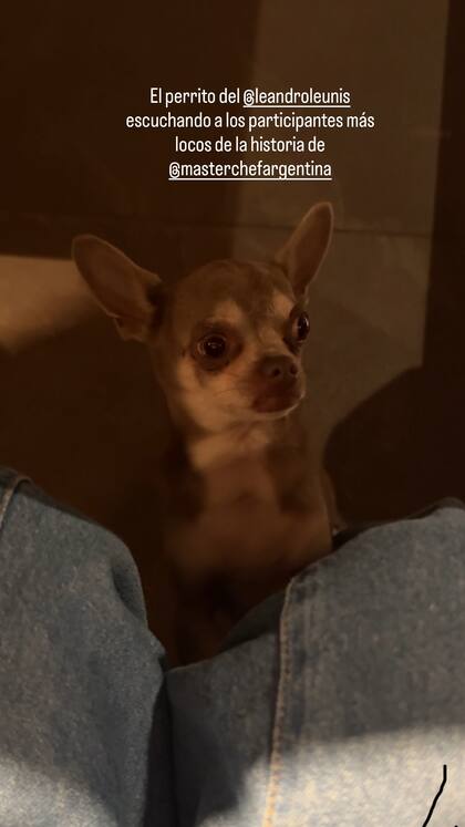 Eva Anderson, enamorada del perrito del Chino Leunis