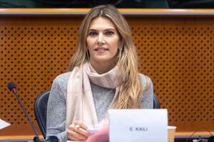 La eurodiputada griega detenida confesó y habló sobre los bolsos con euros en su casa