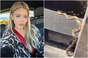 Evangelina Anderson encontró una serpiente en su casa y todos empezaron a los gritos