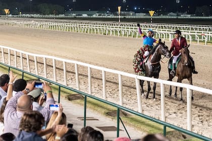 Ever Daddy, con William Pereyra, se adjudicó el Gran Premio José Pedro Ramírez el año pasado, en Maroñas; esta vez, el jinete montará a Brienne Trigger en el Ciudad de Montevideo.