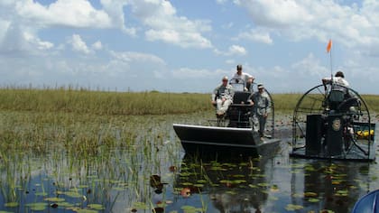 Los Everglades de Florida son un enclave natural único en Estados Unidos y el mundo