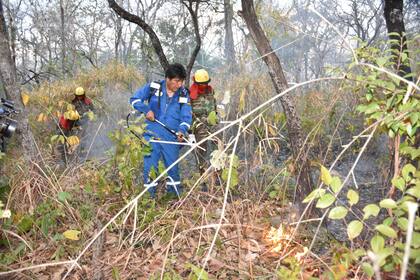 Vestido con un mono azul y con una mochila anti incendios, el gobernante lanzó chorros de agua en algunos lugares donde brotaba el humo y luego aseguró que pudo apagar "cuatro puntos de foco de incendio"