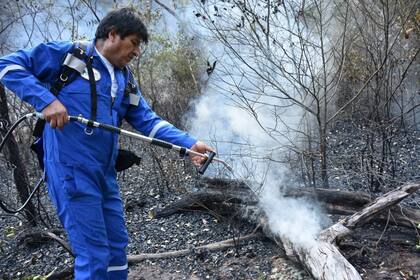 Evo se mostró apagando el fuego en la selva de Santa Rosa