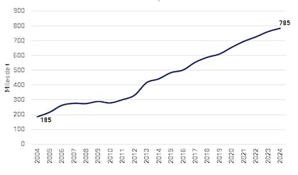 Evolución de la producción de carne porcina desde 2004
