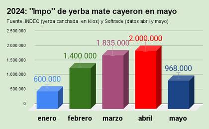 Evolución de las importaciones de yerba mate (Fuente: datos de Softrade/DGA)