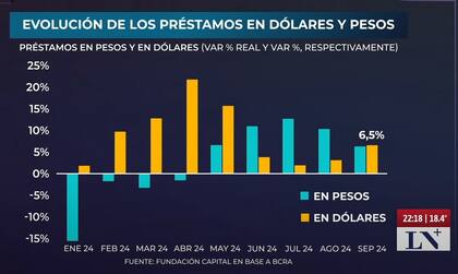 Evolución de los préstamos en dólares y pesos