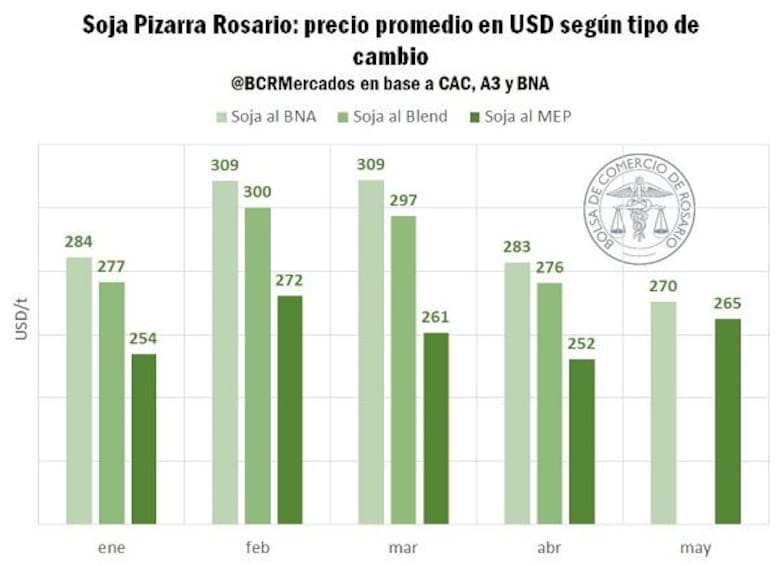 Informe